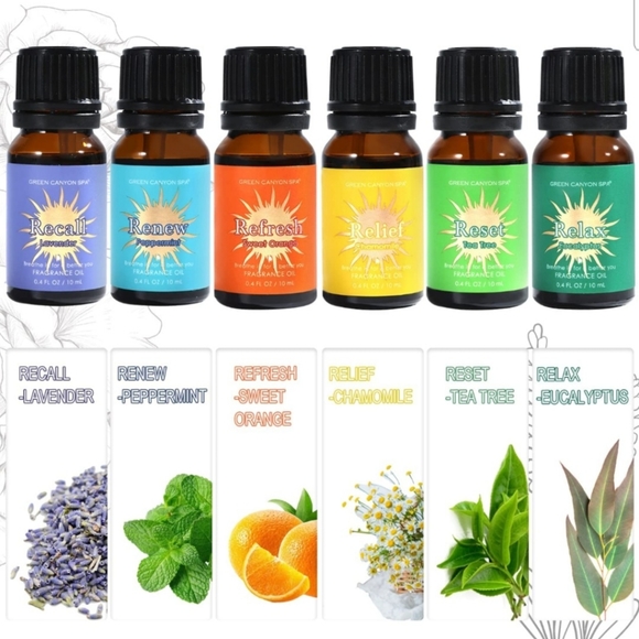 Succulent Diffuser and essential oil set - Picture 8 of 11